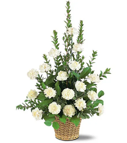 White Simplicity